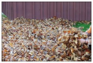 Leaf and Yard Waste Cornwall Ontario