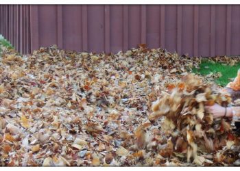 Leaf and Yard Waste Cornwall Ontario