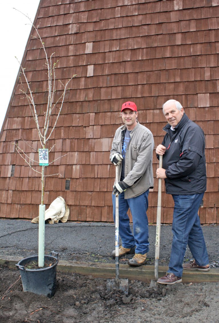 TreePlanting2014