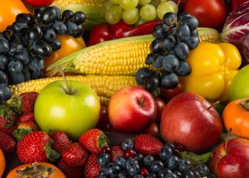 CREATING INTERNATIONAL FOOD BAZAARS IN NORTH AMERICAN CITIES