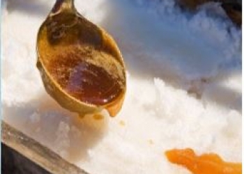 CABANE À SUCRE IS COMING