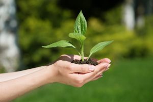 billionphotos-1676607