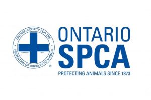Ontario SPCA OSPCA Cornwall