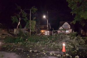 Storm Damage Cornwall Ontario 002