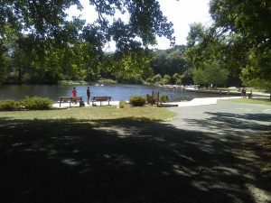 county park