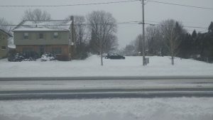 17353610_10155231381753825_2005499117196893627_n