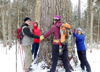 Cornwall Outdoor Club – The Enchanted Forest
