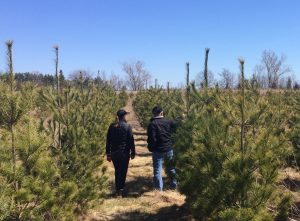 Planted site_50 Million Trees Program