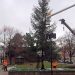 Residents invited to attend Christmas Tree lighting ceremony