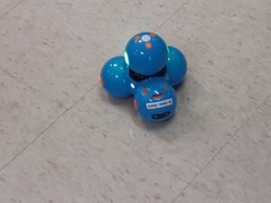 57390138_416024912544240_1510328844526026752_n