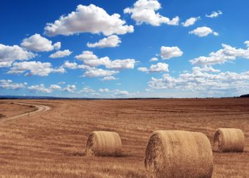 St. Lawrence College students host free workshop to assist local farmers and small food producers