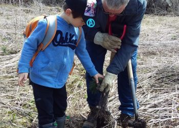 Trees planted at Glengarry Trails in memory of loved ones