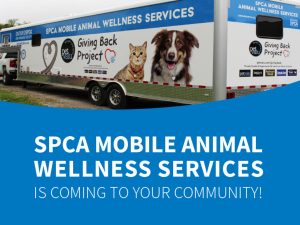 OSPCA-SpayNeuterWellness-Gallery-600x450-c-default
