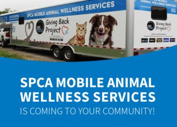 Ontario SPCA and Humane Society’s mobile spay/neuter unit is rolling into Cornwall