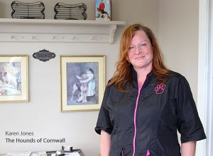 The-Hounds-of-Cornwall