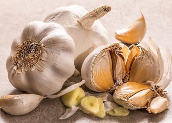 Don’t Miss the Garlic Festival, Sunday September 28