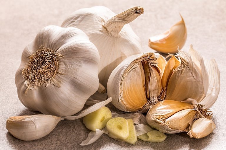 garlic-3419544_960_720