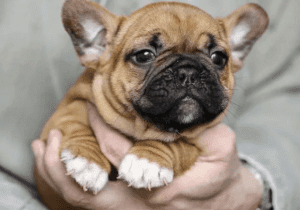 screenshot-docs.google.com-2019.09.23-09_24_34