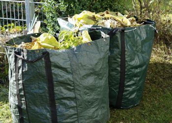 Four Easy Actions for Waste Reduction Week