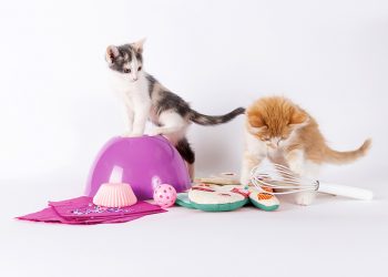 The baking timer is set and counting down to National Cupcake Day