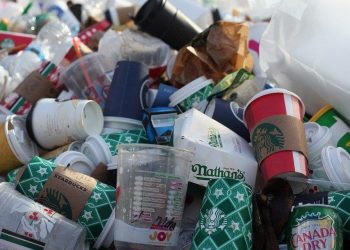 How Disposable Cups Affect The Environment