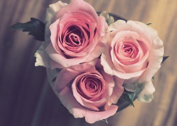 Why You Shouldn’t Be Beholden to ‘Traditional’ 9th Anniversary Gifts