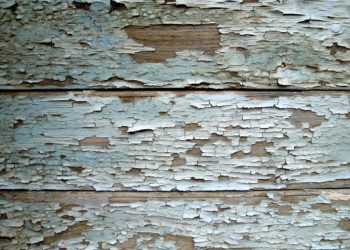 House Painting Ideas