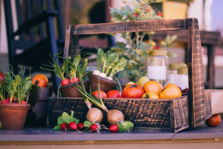 vegetable-basket-349667_1920
