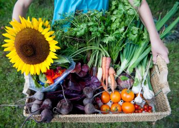 Online farmers market opens for SDG and area residents