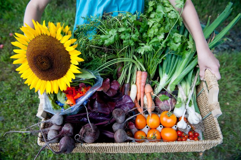 NG- Vegetable Patch-27