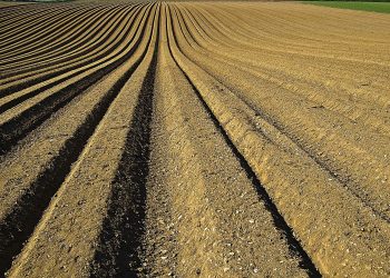 WE’RE PLOWING ON At The INTERNATIONAL PLOWNG MATCH AND RURAL EXPO