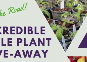 HAPPENING TOMORROW – FRIDAY, May 29 & SATURDAY May 30 – Incredible Edibles Plant Festival Branches Out In Response To COVID-19