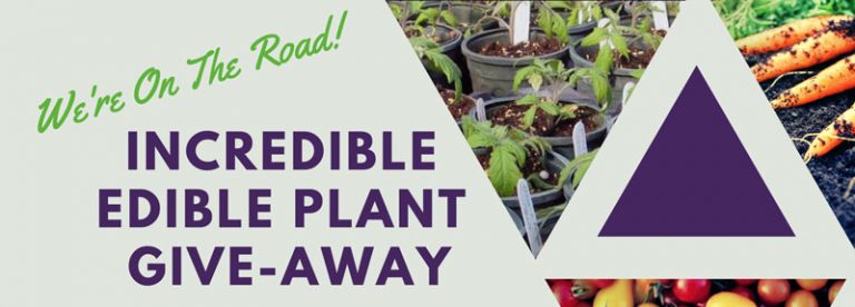 8.5x11 INCREDIBLE EDIBLE PLANT POSTER 2020