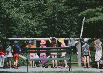 Top 6 Ideas for an Educational but Fun School Trip