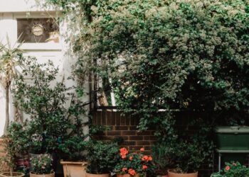 Get Your Air Conditioner Summer-Ready