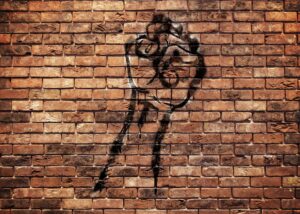 protest-5305400_1920