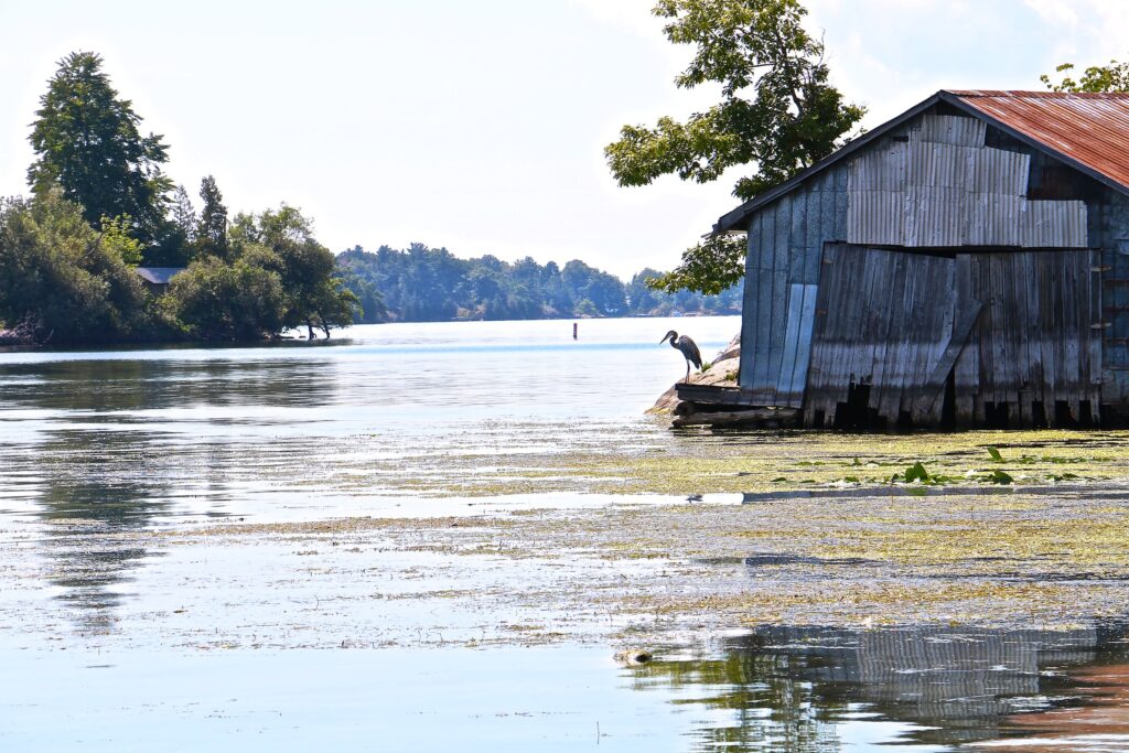 rsz_img_9988_jessesheronpic