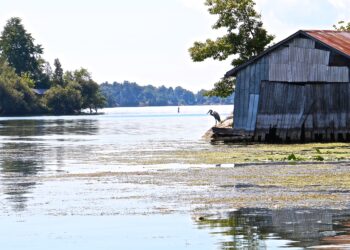 RIVER INSTITUTE RECEIVES $100,000 GRANT FROM RBC FOUNDATION