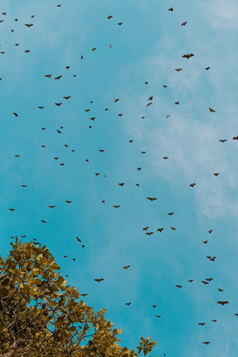 serrah-galos-I92QE4ypzf0-unsplash