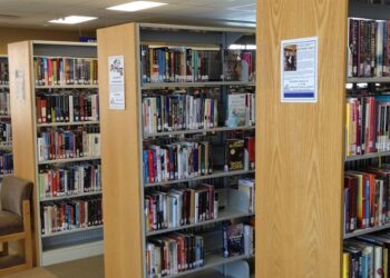 Browsing Resumes at SDG Library