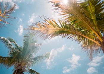 What Can You Expect From the Weather in Florida?