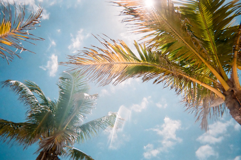 What Can You Expect From the Weather in Florida?
