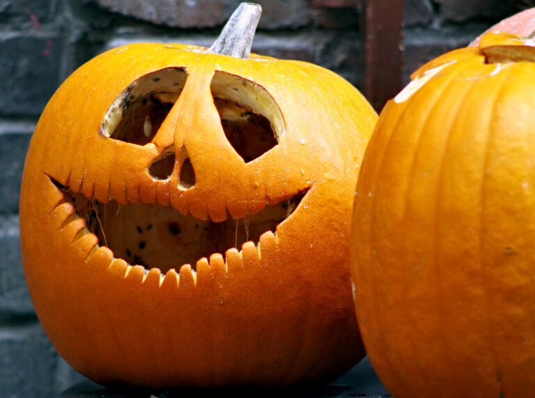 pumpkin-1818516_1920