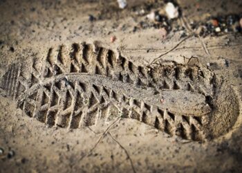 Police Investigating Found Human Remains