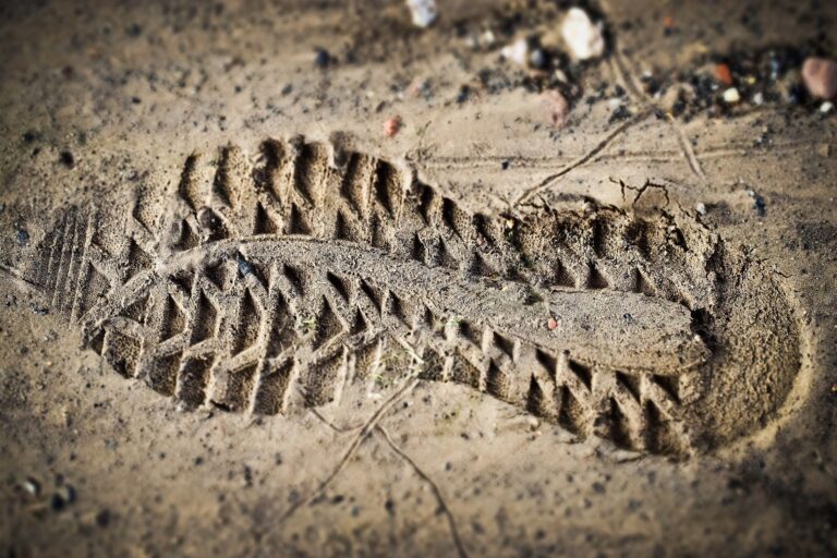 shoe-print-3482282_1920