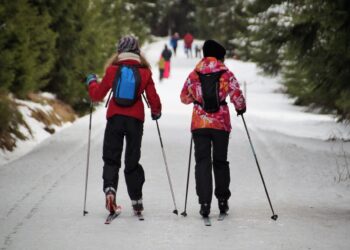 Select Conservation Areas to Remain Open This Winter