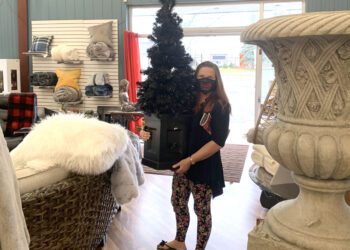 Out and About with Seeker Chick Mai-Liis: I finally found one locally – Start the Car!!!