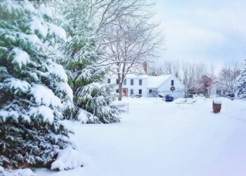 snow covered house and trees
