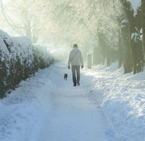 January 2021 - Untitled Page