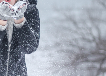 Hassle-Free Ways to Remove Snow Out Of Your Parking Lot